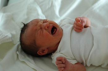 Токсическая эритема у новорожденных